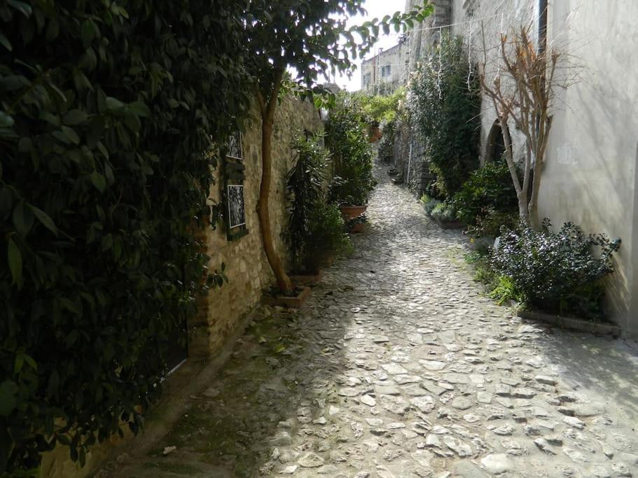 Casa Dell'Oliveto "Parcheggio Gratuito" Daire Narni Dış mekan fotoğraf