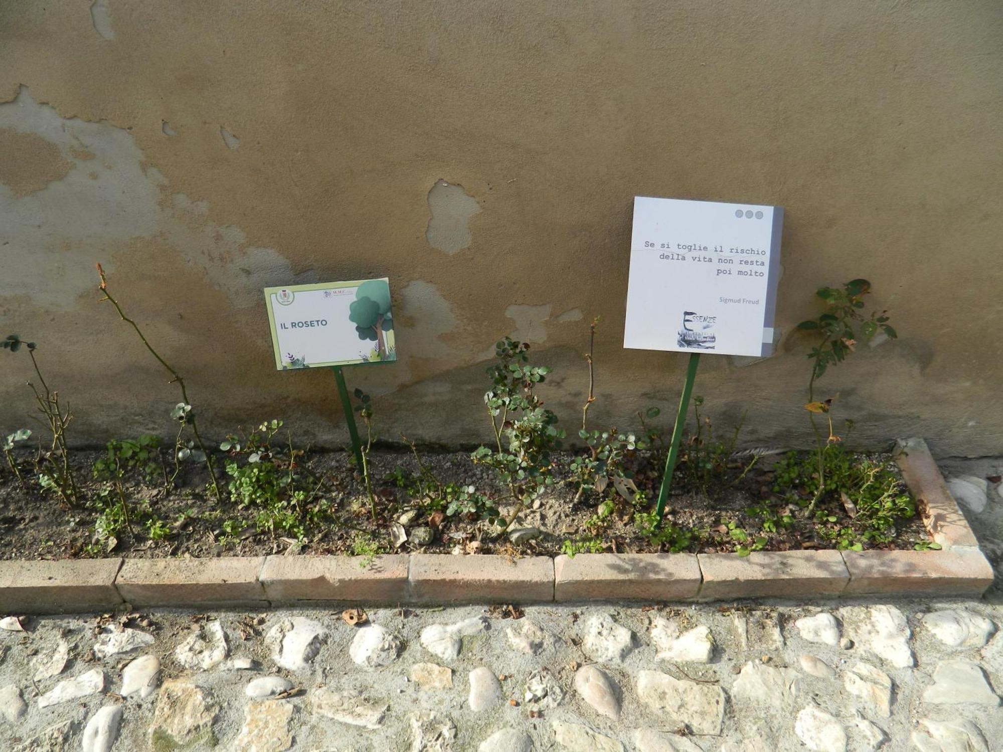 Casa Dell'Oliveto "Parcheggio Gratuito" Daire Narni Dış mekan fotoğraf