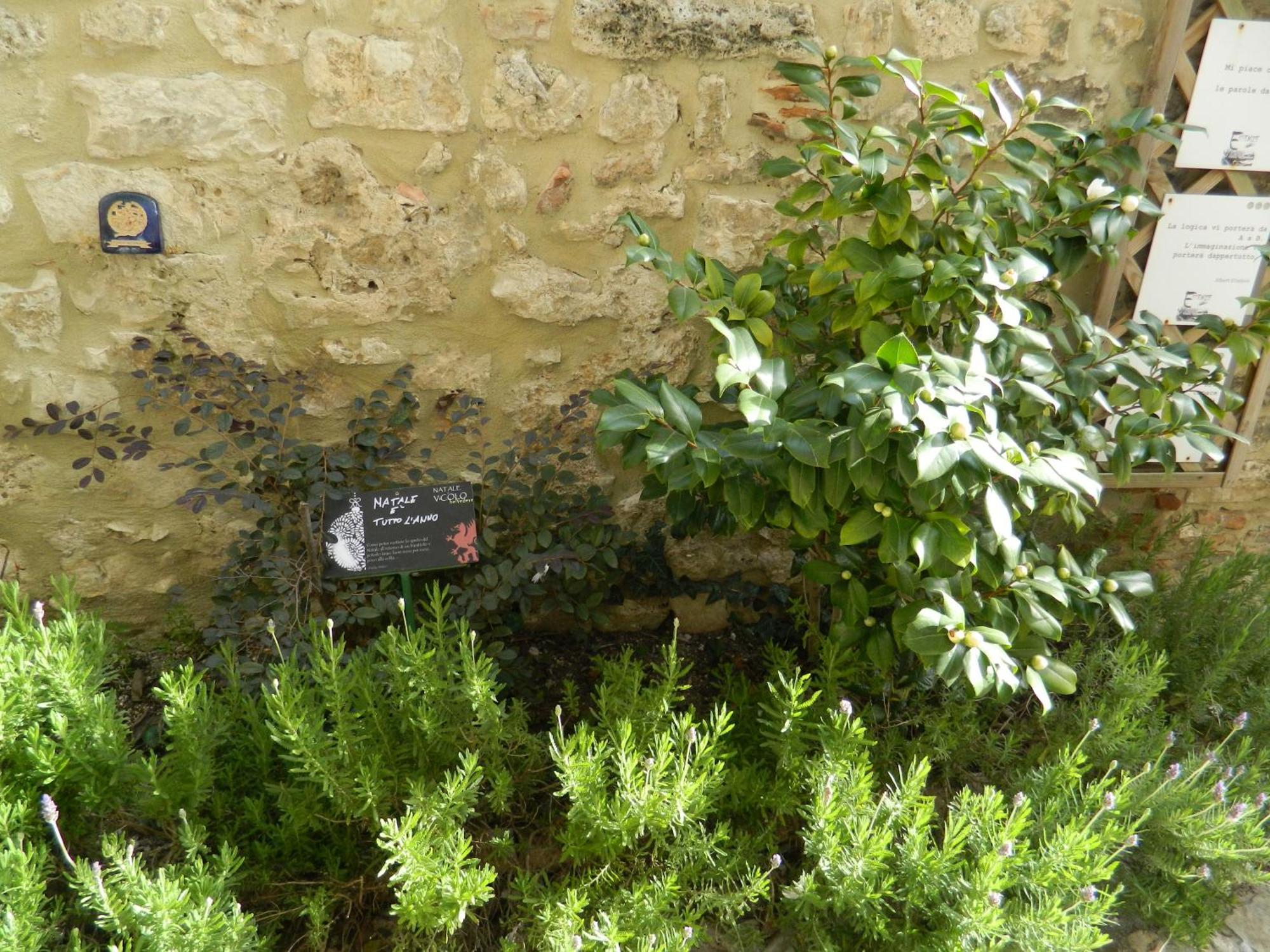 Casa Dell'Oliveto "Parcheggio Gratuito" Daire Narni Dış mekan fotoğraf